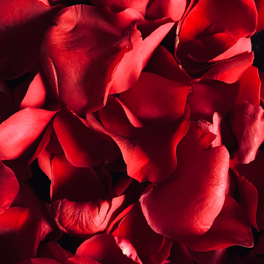 1000 artificial rose petals